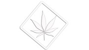 naklejka-marihuana-biala.jpg