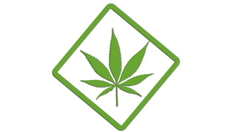 naklejka-marihuana-jasny-zielony.jpg