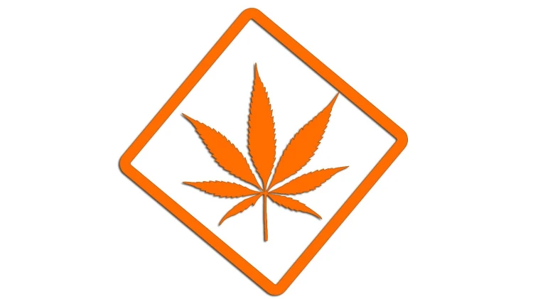 naklejka-marihuana-pomaranczowa.jpg