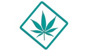 naklejka-marihuana-turkusowa.jpg