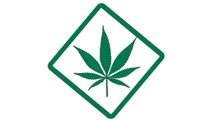 naklejka-marihuana-zielona.jpg