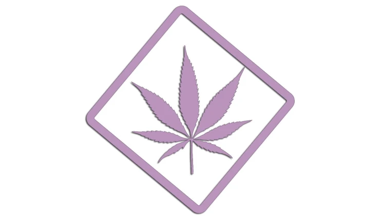 naklejka-marihuana-liliowa.jpg