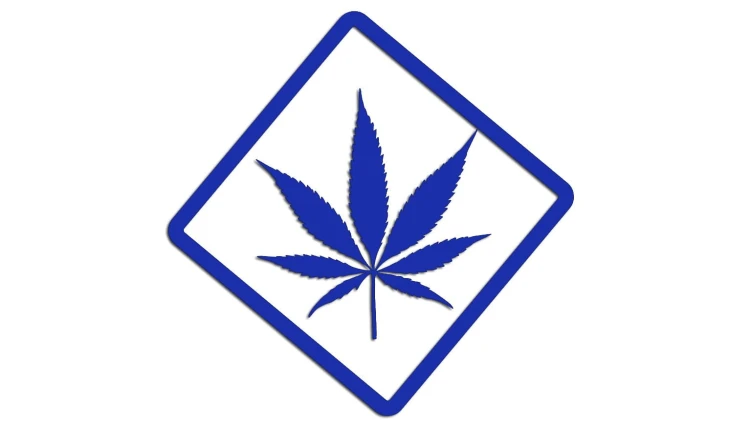 naklejka-marihuana-modrakowa.jpg