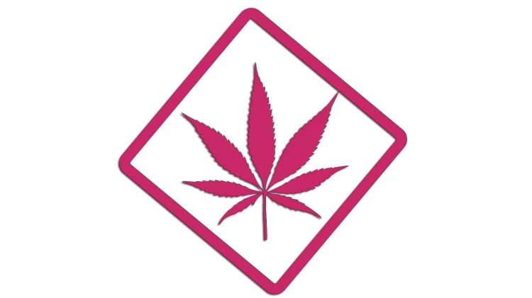 naklejka-marihuana-rozowa.jpg