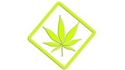 naklejka-marihuana-zolta-neon.jpg