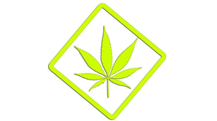 naklejka-marihuana-zolta-neon.jpg