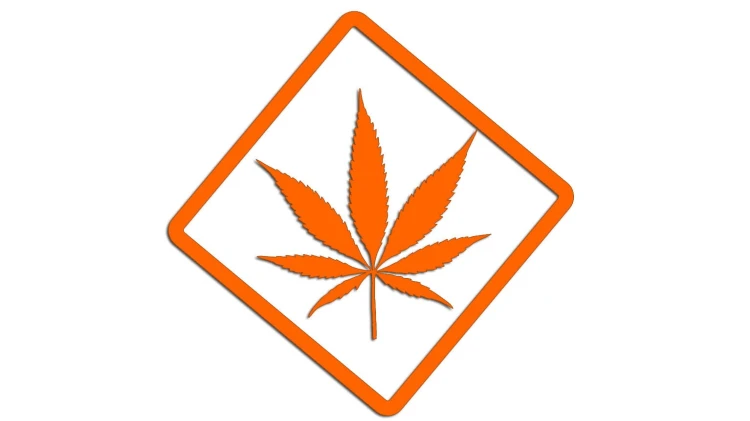 naklejka-marihuana-pomaranczowa-neon.jpg