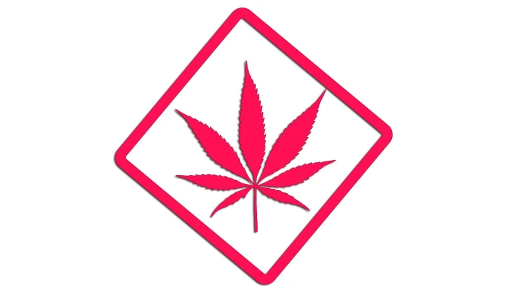naklejka-marihuana-rozowa-neon.jpg