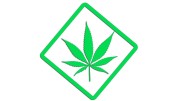 naklejka-marihuana-zielona-neon.jpg