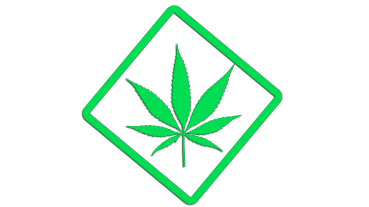 naklejka-marihuana-zielona-neon.jpg