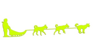 PSI ZAPRZĘG - PIES - kolory neonowe