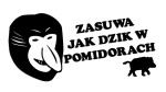 NOSACZ JANUSZ - ZASUWA JAK DZIK W POMIDORACH - kolory - połysk/mat