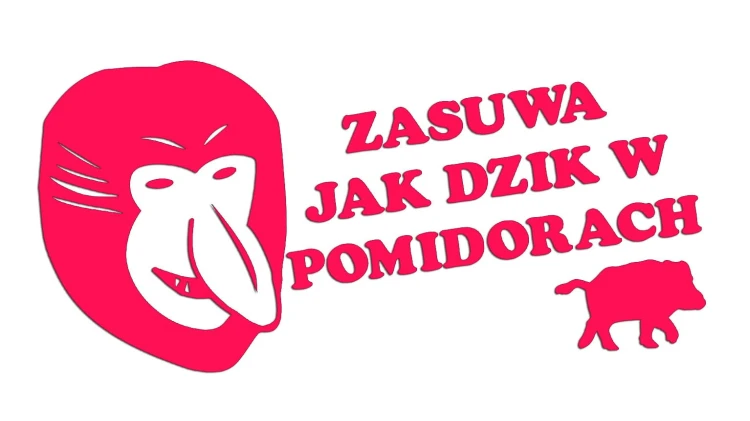 naklejka-janusz-nosacz-zasuwa-jak-dzik-w-pomidorach-rozowa-neon.jpg