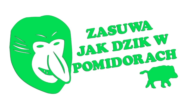 naklejka-janusz-nosacz-zasuwa-jak-dzik-w-pomidorach-zielona-neon.jpg