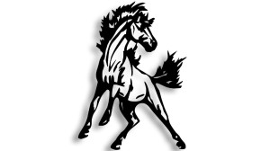 KOŃ - RUMAK - KOBYŁA - KLACZ #1  - kolory - połysk/mat