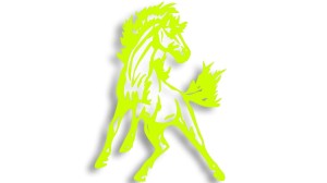 KOŃ - RUMAK - KOBYŁA - KLACZ #1 - kolory neonowe