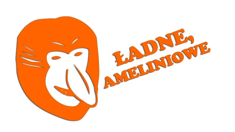 naklejka-janusz-nosacz-ladne-ameliniowe-pomaranczowa-neon.jpg