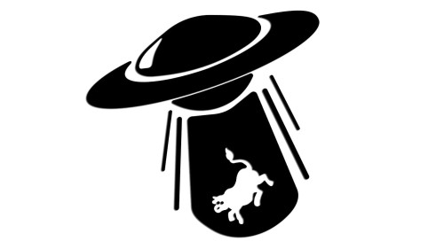 naklejka-ufo-porwanie-krowa.jpg