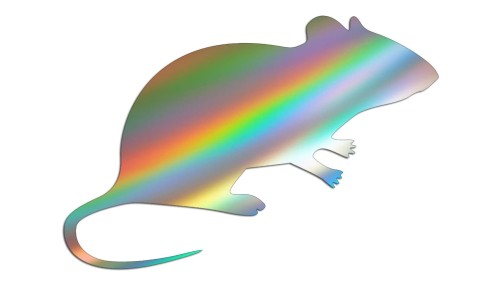naklejka-mysz-myszka-holograficzna.jpg