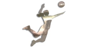 SIATKARKA - SIATKÓWKA - kolory - chrom