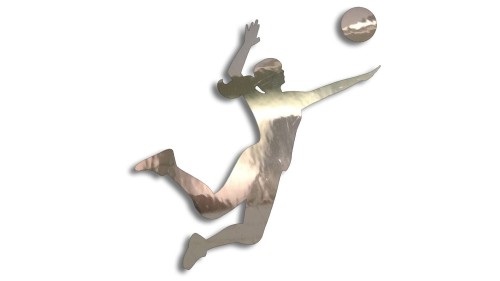 naklejka-siatkarka-chrom.jpg