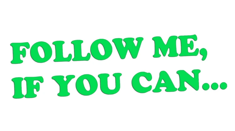 naklejka-follow-me-if-you-can-zielona-neon.jpg