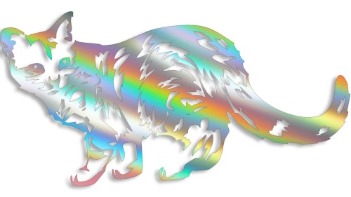 naklejka-kot-holograficzna.jpg