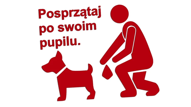 naklejka-posprzataj-po-swoim-pupilu-czerwona.jpg