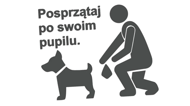 naklejka-posprzataj-po-swoim-pupilu-grafitowa.jpg