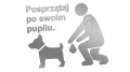 naklejka-posprzataj-po-swoim-pupilu-srebrna.jpg