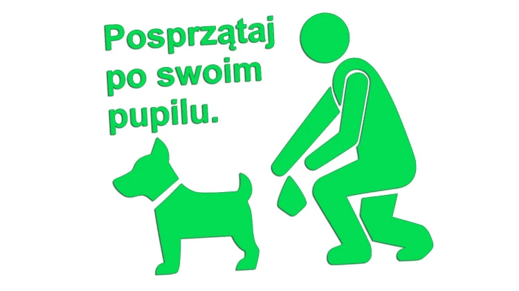 naklejka-posprzataj-po-swoim-pupilu-zielona-neon.jpg