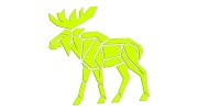naklejka-los-geometryczny-zolta-neon.jpg