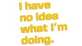 naklejka-i-have-no-idea-what-im-doing-zolta.jpg