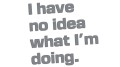 naklejka-i-have-no-idea-what-im-doing-szara.jpg