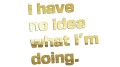 naklejka-i-have-no-idea-what-im-doing-zloty-chrom.jpg