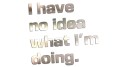 naklejka-i-have-no-idea-what-im-doing-chrom.jpg