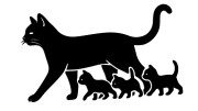naklejka-kocica-i-male-kociaki.jpg