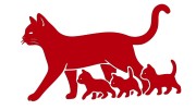 naklejka-kocica-i-male-kociaki-czerwona.jpg