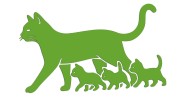 naklejka-kocica-i-male-kociaki-jasny-zielony.jpg