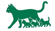 naklejka-kocica-i-male-kociaki-zielona.jpg