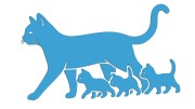 naklejka-kocica-i-male-kociaki-blekitna.jpg