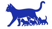 naklejka-kocica-i-male-kociaki-modrakowa.jpg