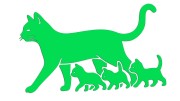 naklejka-kocica-i-male-kociaki-zielona-neon.jpg