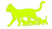 naklejka-kocica-i-male-kociaki-zolta-neon.jpg