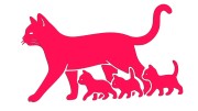 naklejka-kocica-i-male-kociaki-rozowa-neon.jpg