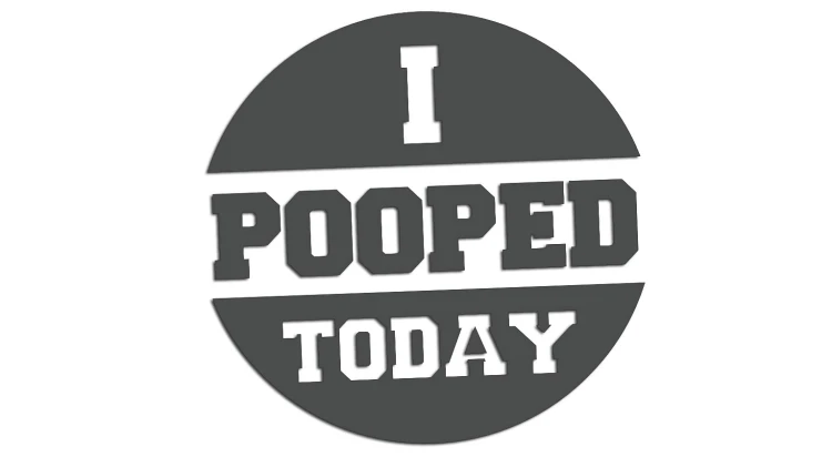 naklejka-i-pooped-today-grafitowa.jpg