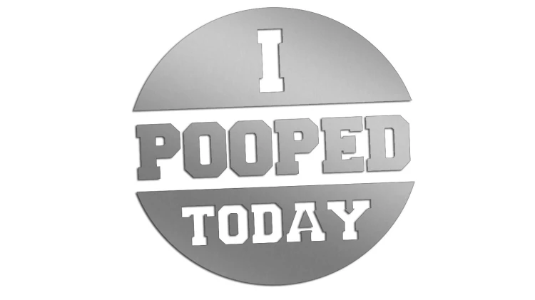 naklejka-i-pooped-today-srebrna.jpg