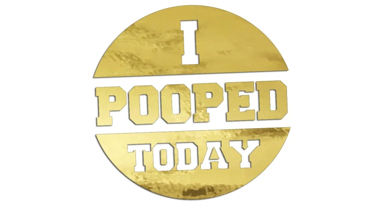 naklejka-i-pooped-today-zloty-chrom.jpg