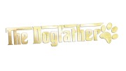 naklejka-the-dog-father-zloty-chrom.jpg
