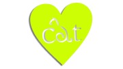 naklejka-kot-serce-love-zolta-neon.jpg